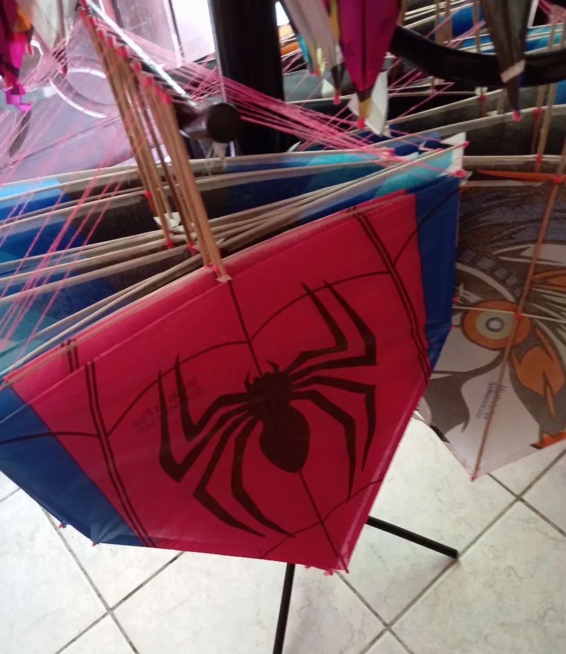 Magao da pipa  - Foto 5