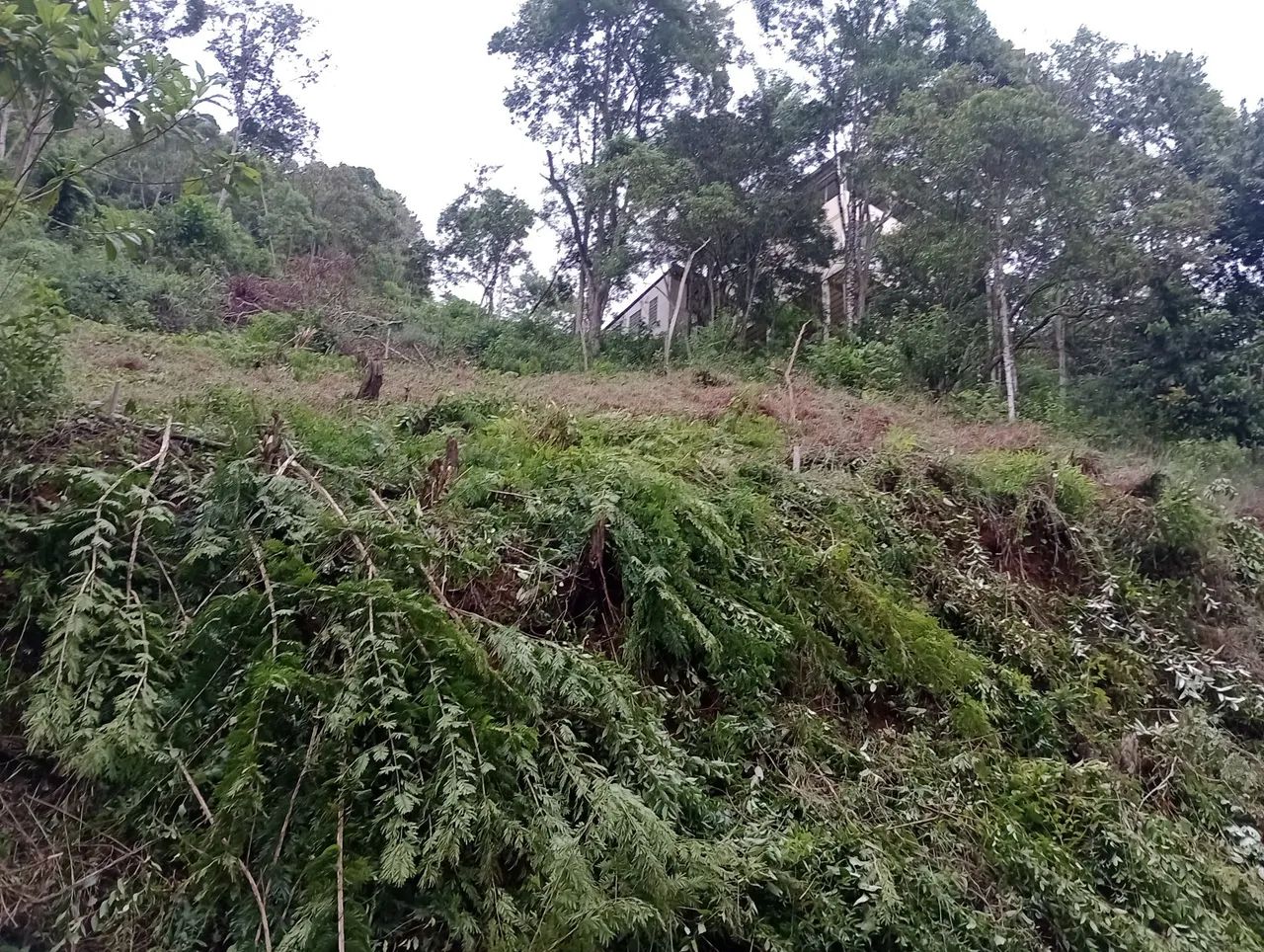 Lote em Marechal Floriano - Foto 2