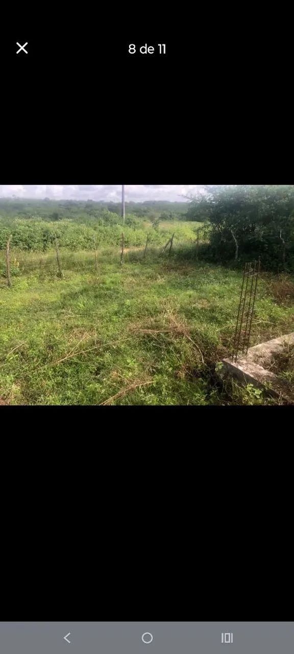 Vendo esse terreno  - Foto 5
