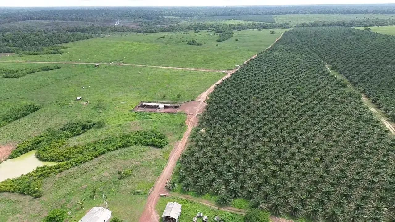 FAZENDA 4.500 HECTARES TAILÂNDIA/TOME AÇÚ