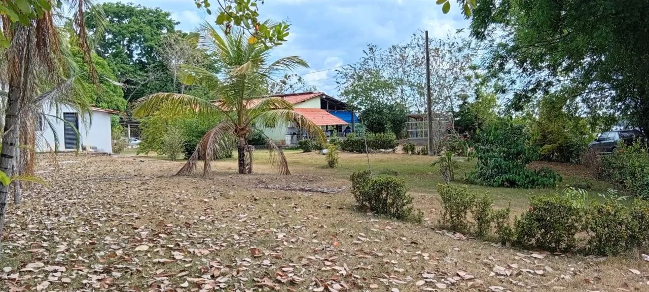 Chácara na beira do rio Tocantins - Foto 4