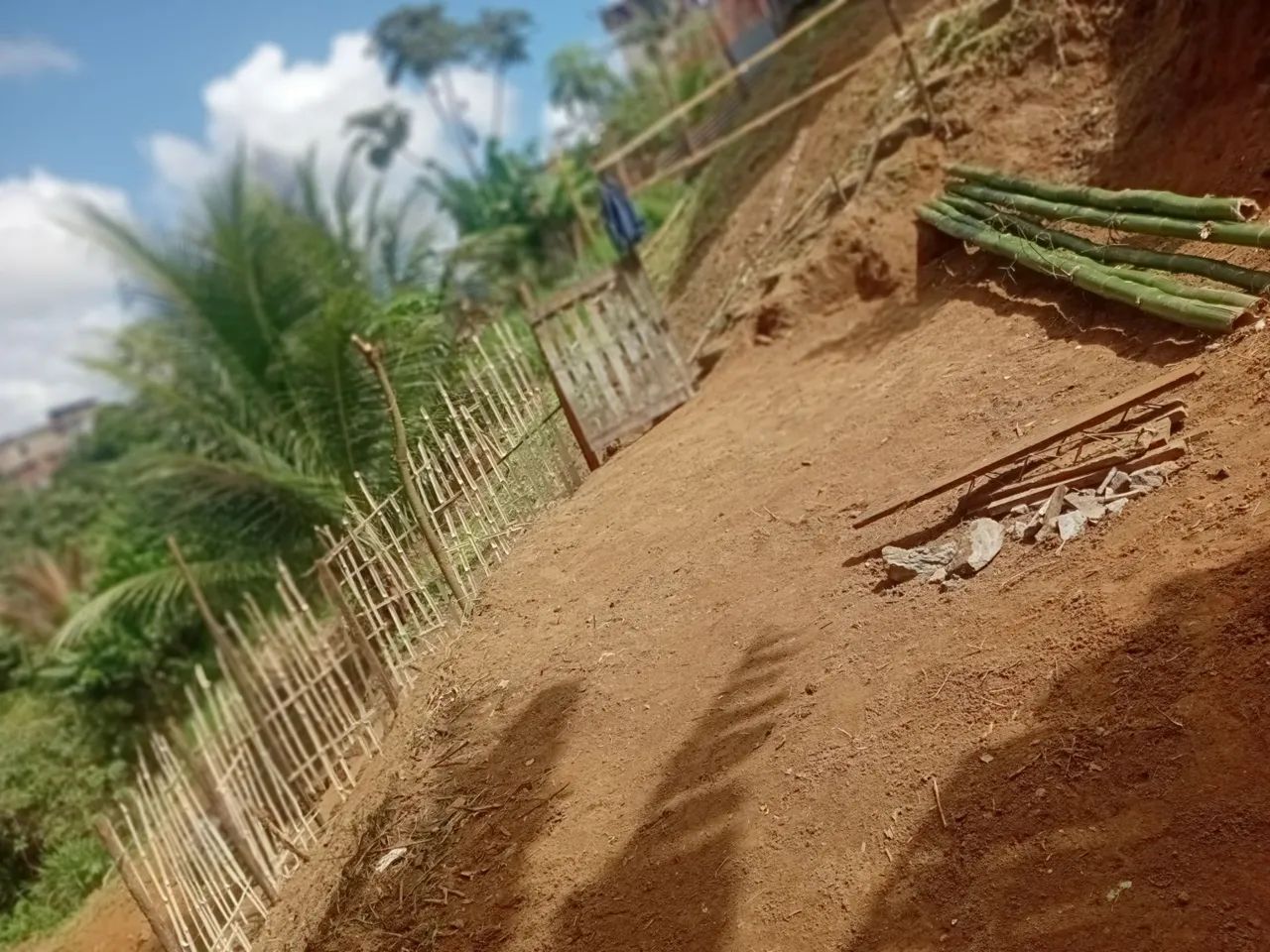 Terreno 