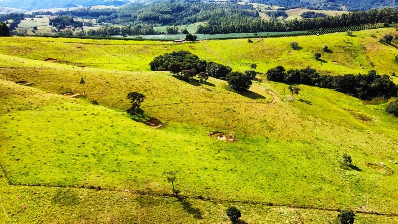 Foto - Campinas - Taquaral