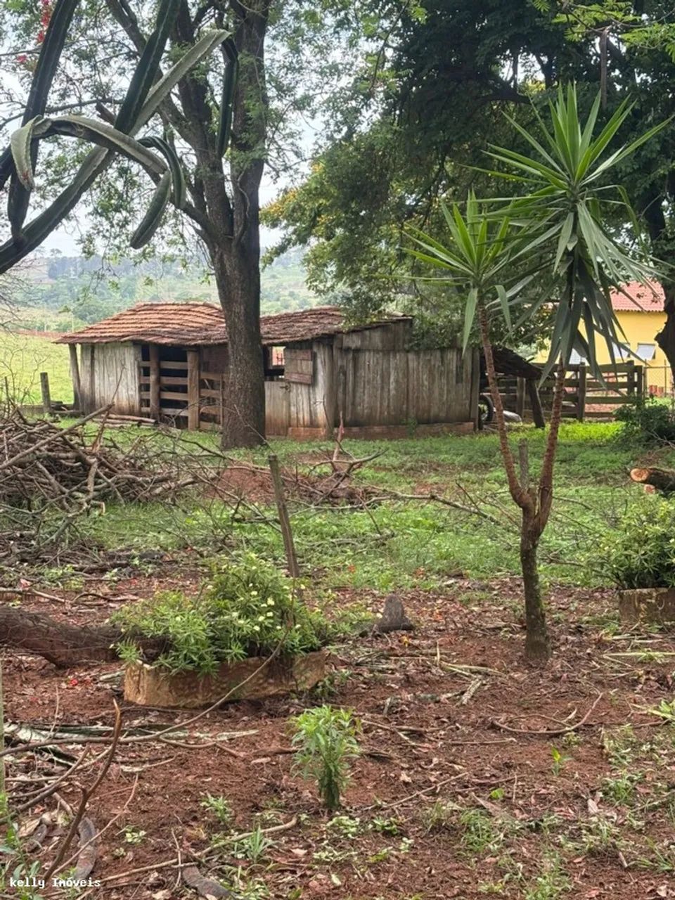 Chácara para Venda em Martinópolis / SP no bairro Rural - Foto 2