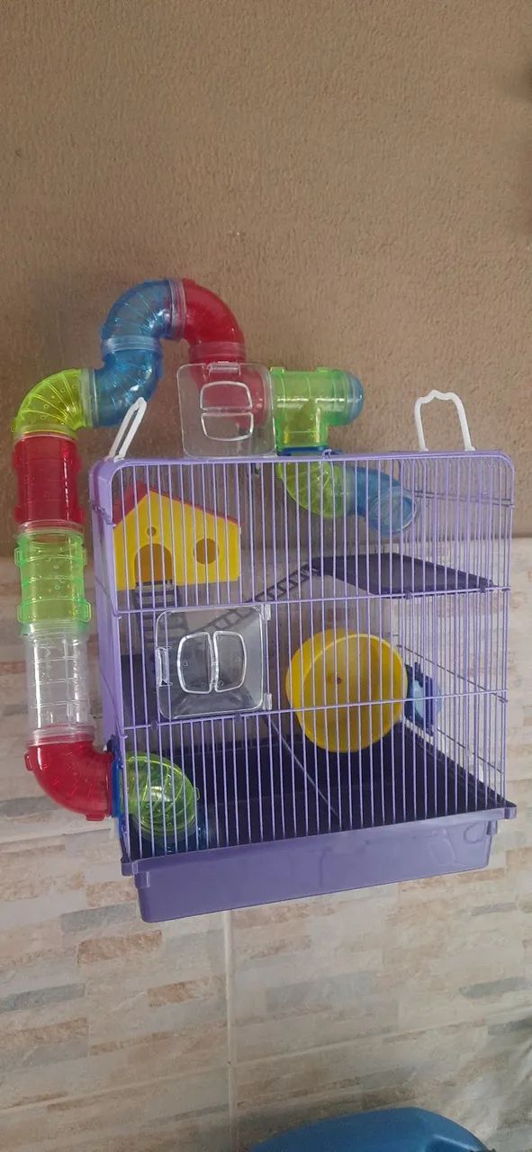 PARA RHAMSTER NOVA ACEITO TROCA