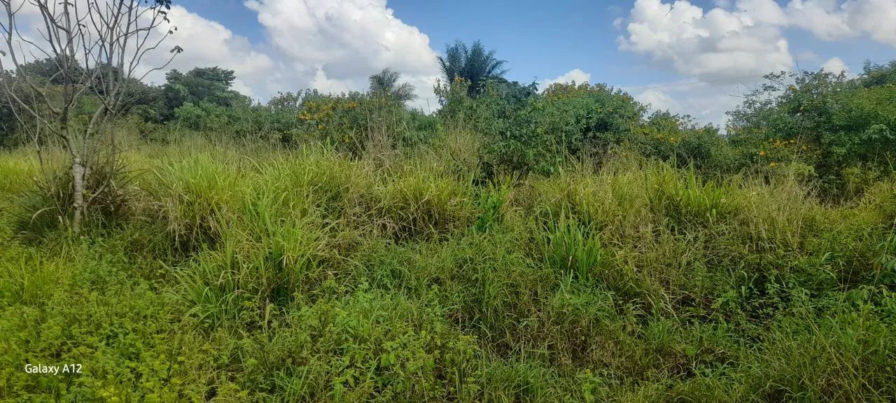 ÓTIMO TERRENO NO SÍTIO TABULEIRO COM MAIS DE UMA HECTARIA. - Foto 2
