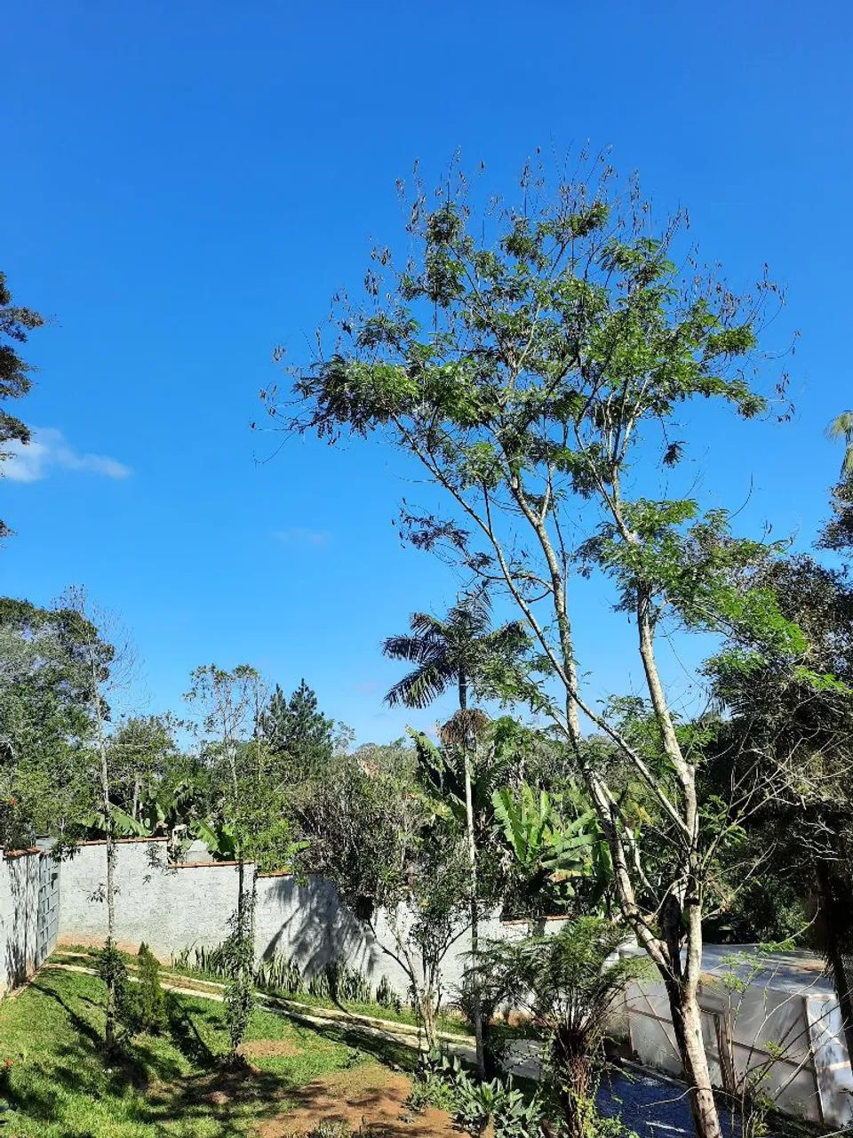 Oportunidade em Embu-Guaçu! Chácara de 600m² com Estufa - Foto 5