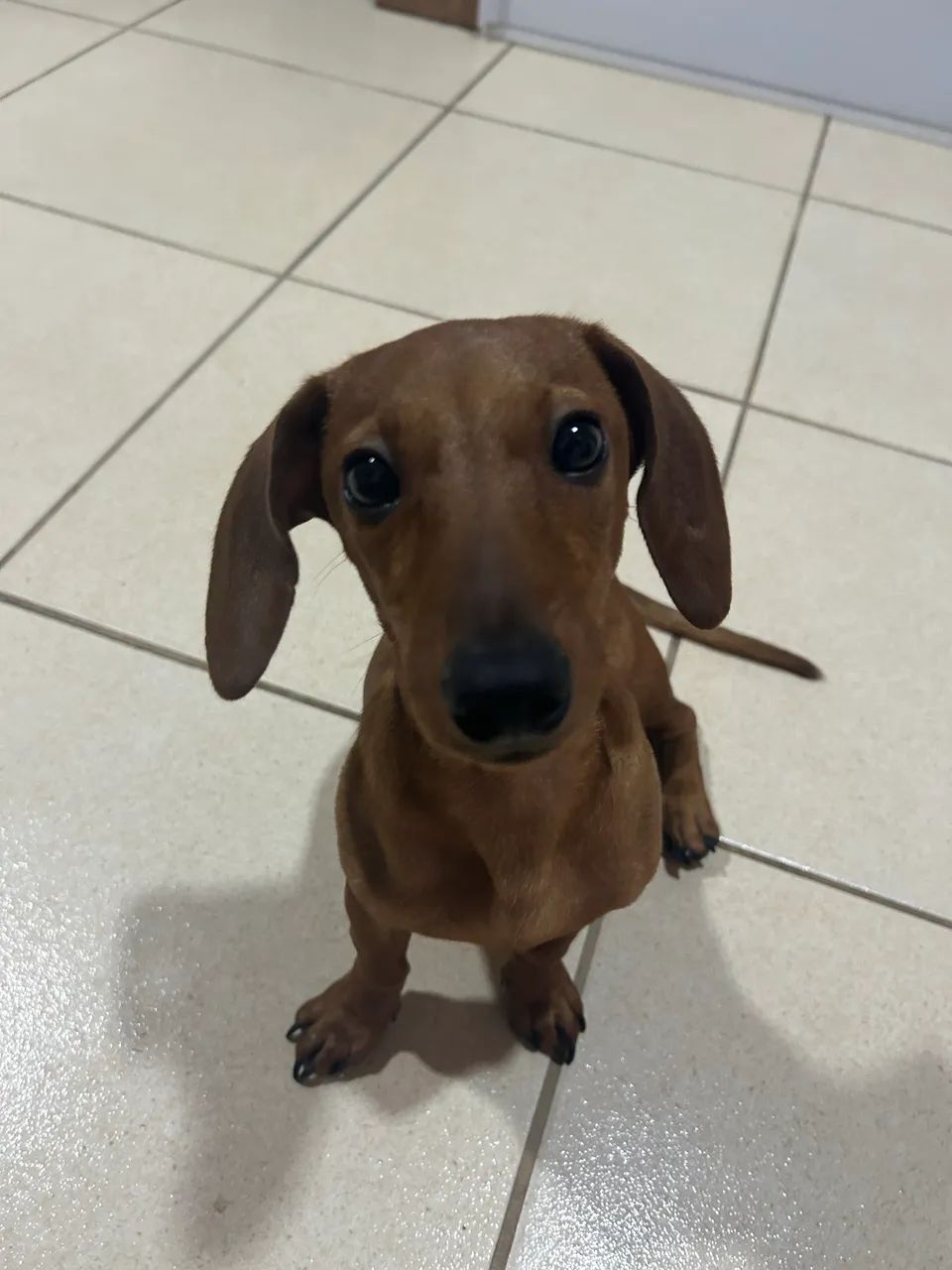 Doação  - Foto 3