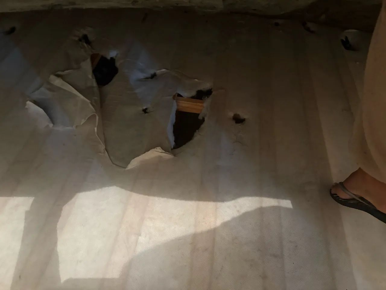 Cama box