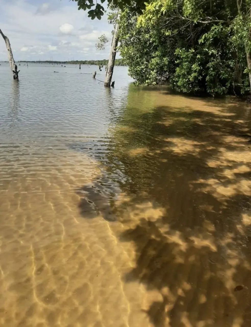 Vende - se Ágio chácara beira lago   - Foto 4