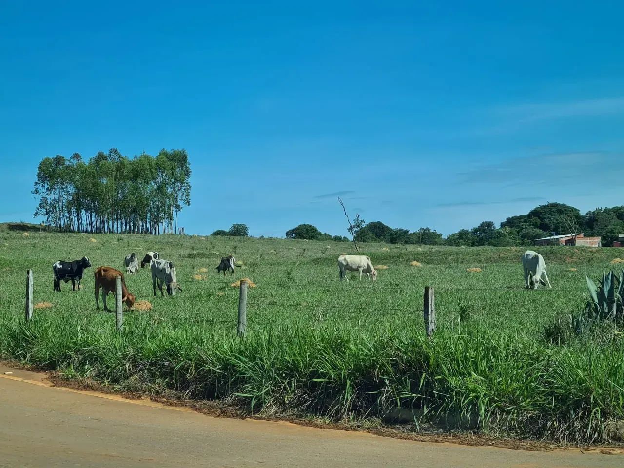 Sitio - Sobradinho dos Melos - Paranoa DF