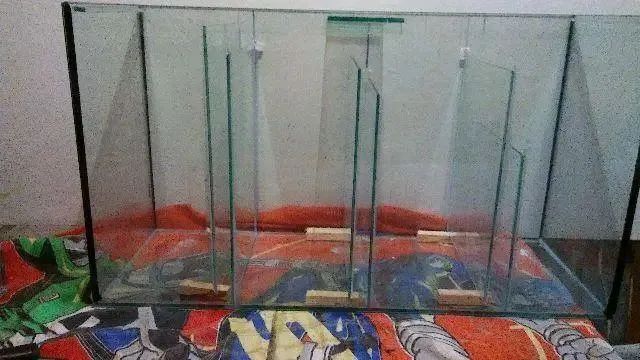 Aquário de todos os tamanhos  - Foto 3