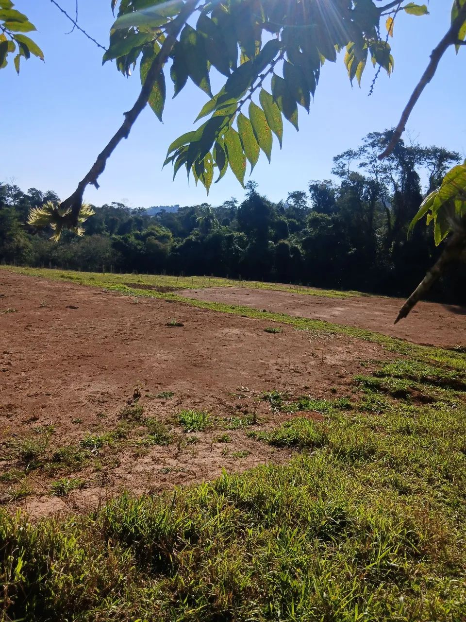 TERRENO CHACARA - Foto 5