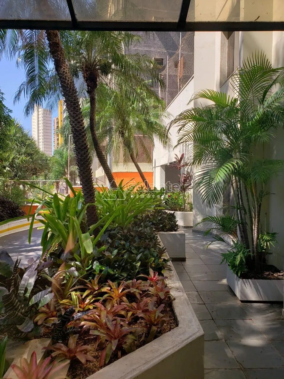 apartamento - Jardim Proença - Campinas - Foto 2