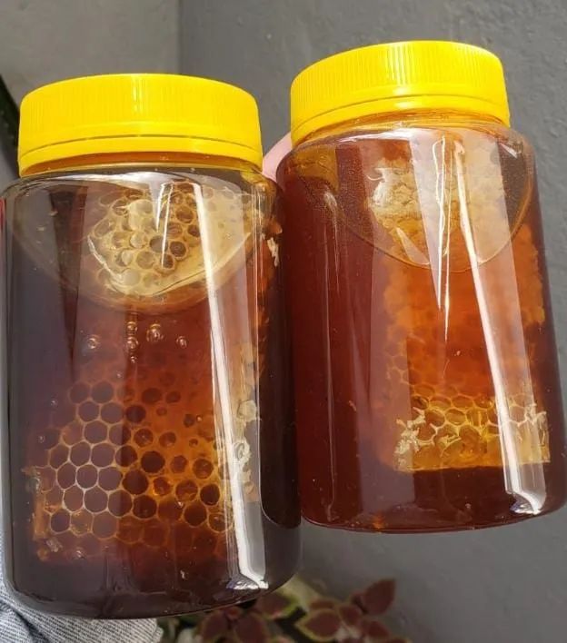 Vendo Mel Puro Natural com Favo ? - Foto 5