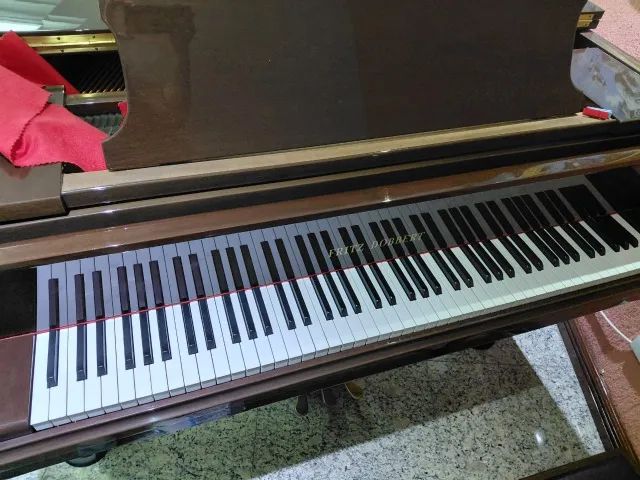 Piano de Calda - Foto 2