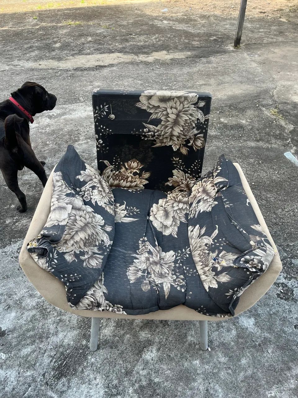 Poltronas - Foto 2