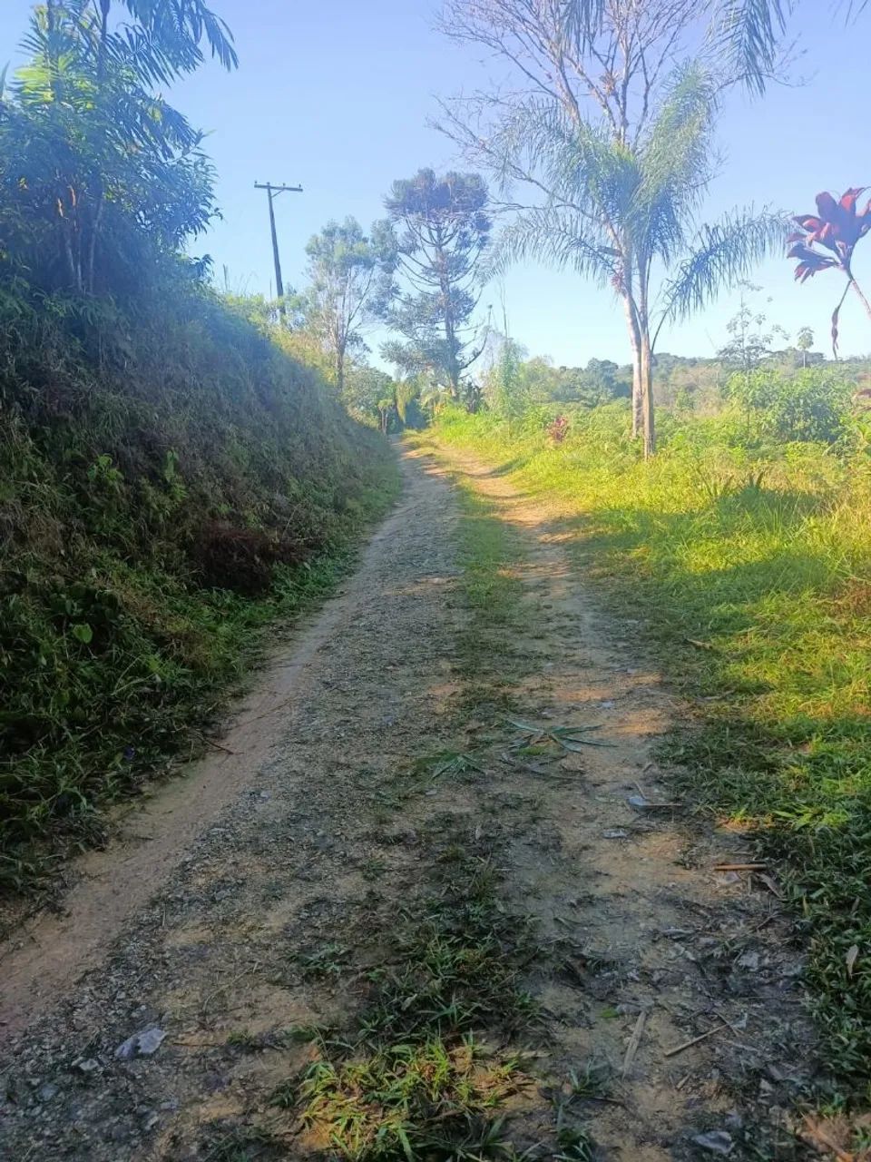 Sítio  - Foto 5