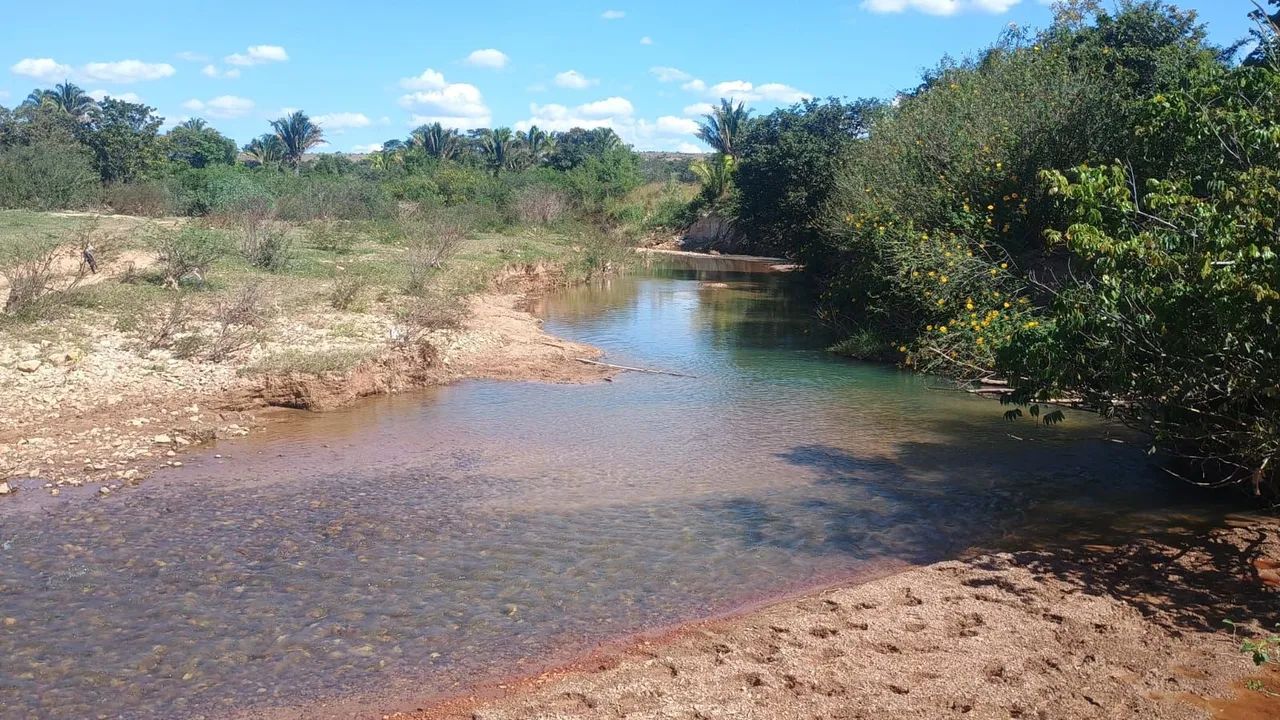 Chácara com entrada no boleto girassol Go  - Foto 4