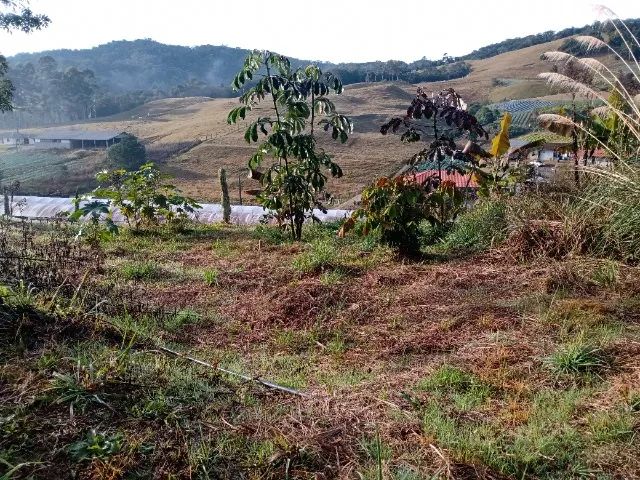 Vendo sítio no Mato Francês-SC Com 4 hectares - Foto 2