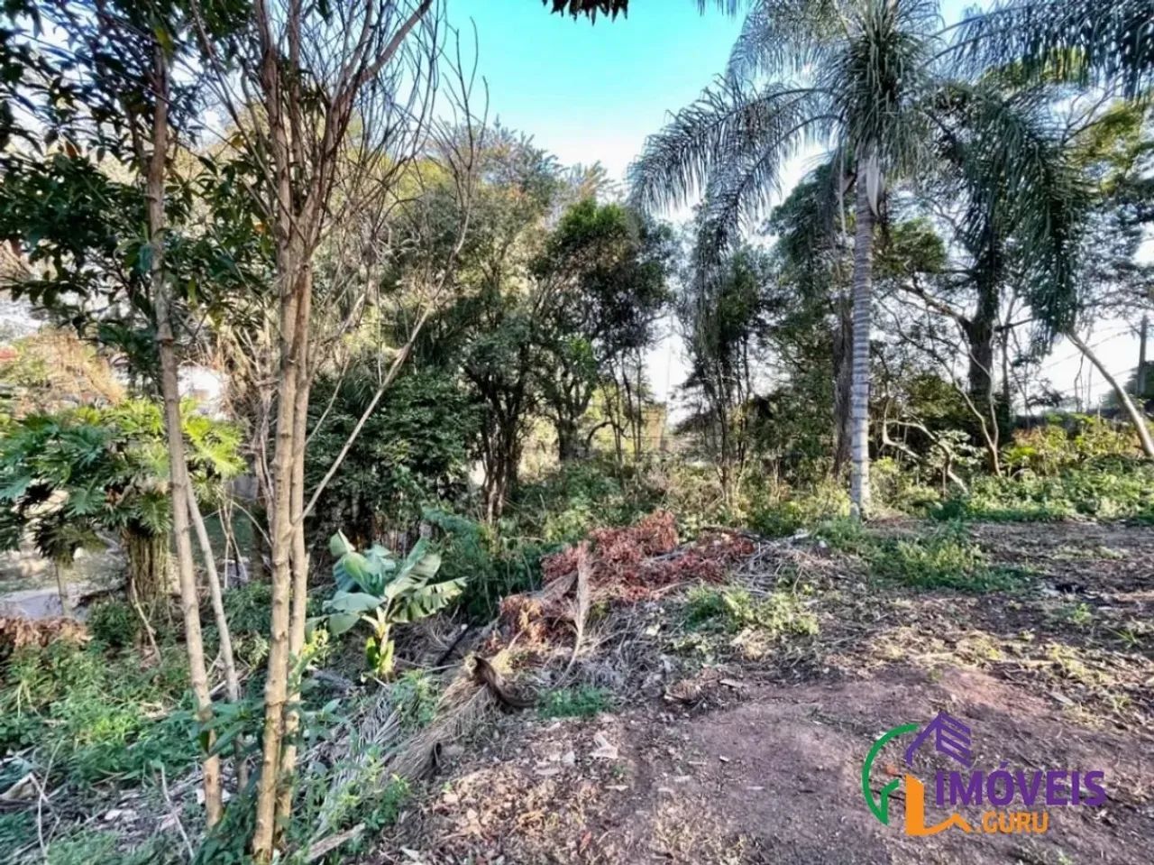 TERRENO - CHÁCARAS SÃO BENTO - SP - Foto 2