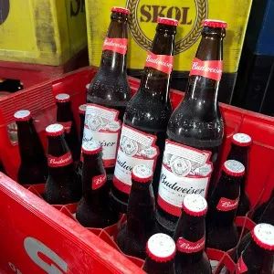 Vendo Budweiser 600 Ml R$ 4,90 unidade