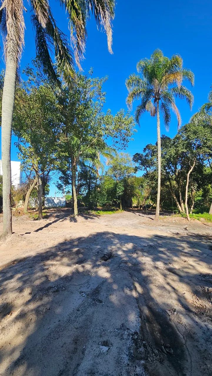 Terreno 1.000m² para Locação no Campeche | 5KM do Aeroporto de Florianópolis - Foto 7