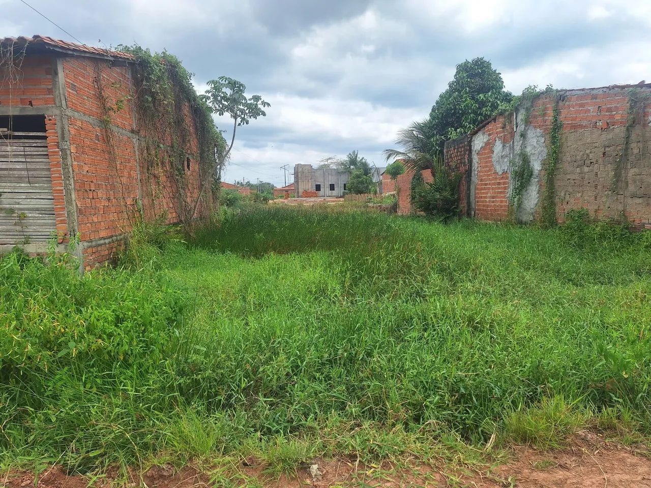 Vende-se esse terreno  - Foto 4