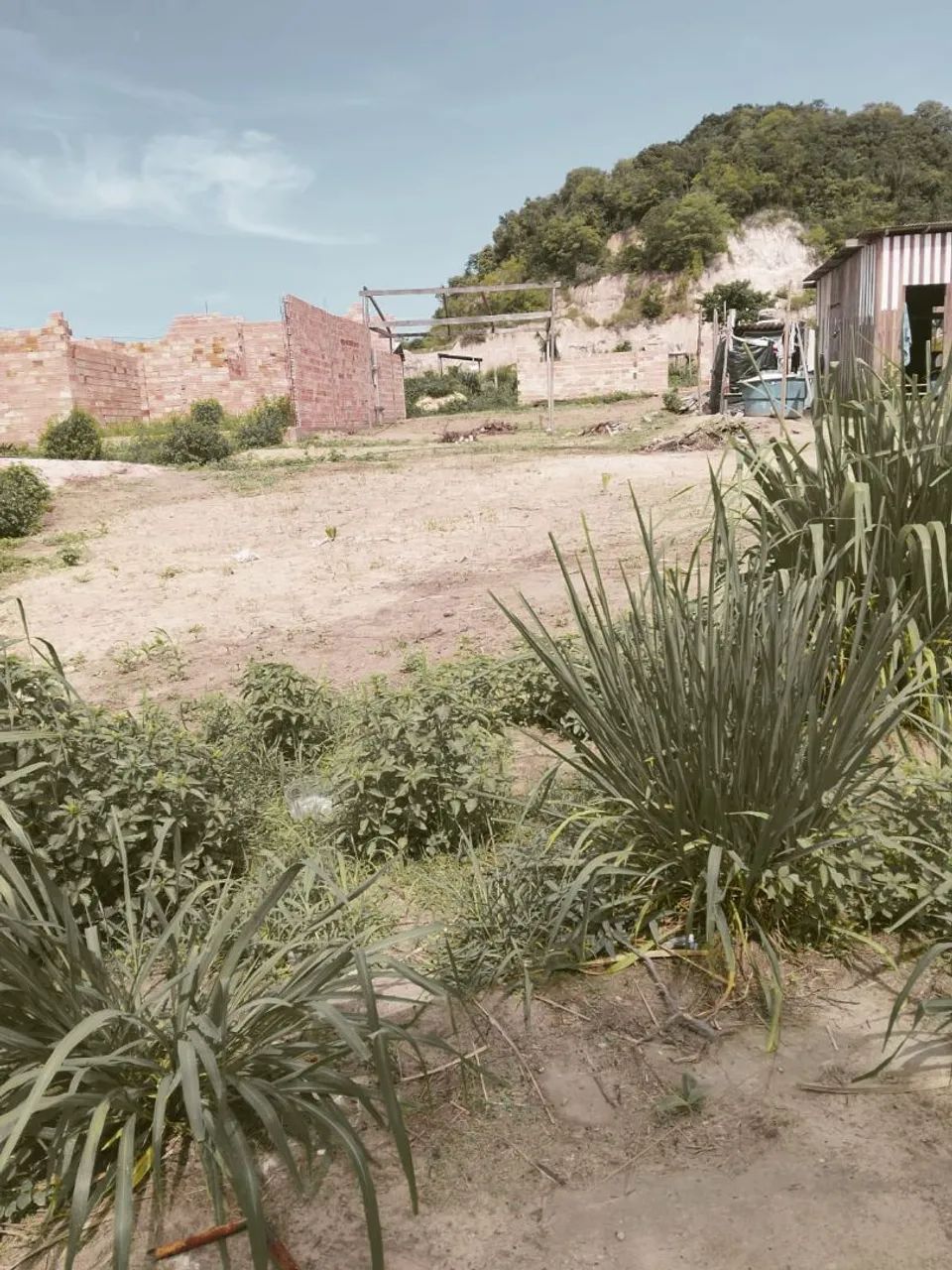 Foto - Santarém - Diamantino