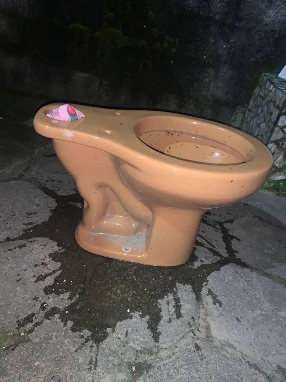 Vendo vaso sanitário com caixa de descarga 