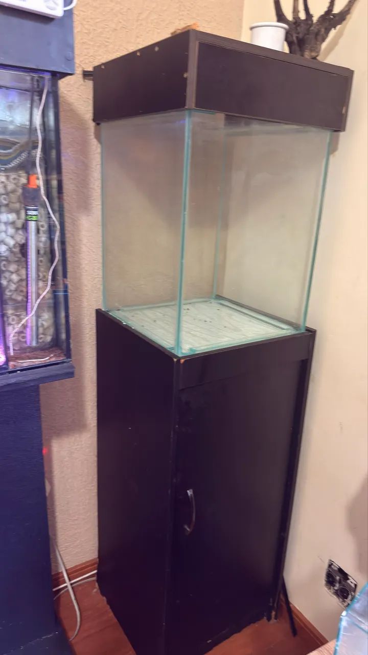 Aquario vivo 80 litros  - Foto 2