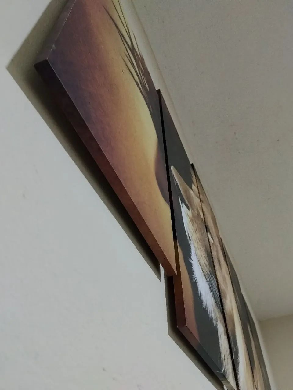 Quadro lindo do Jesus e Leão  - Foto 2