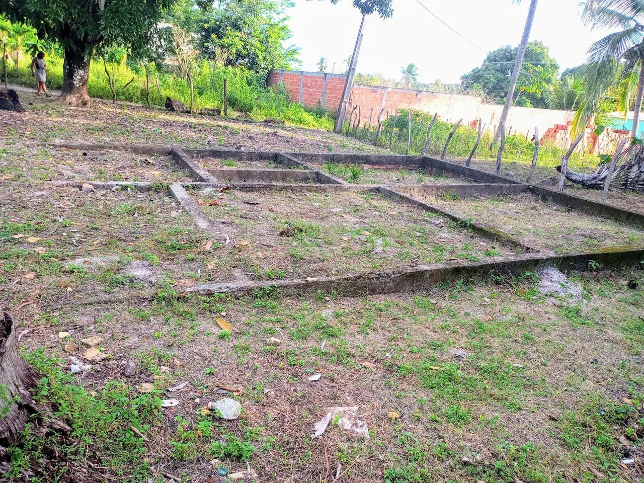 Terreno para mini sítio  - Foto 3