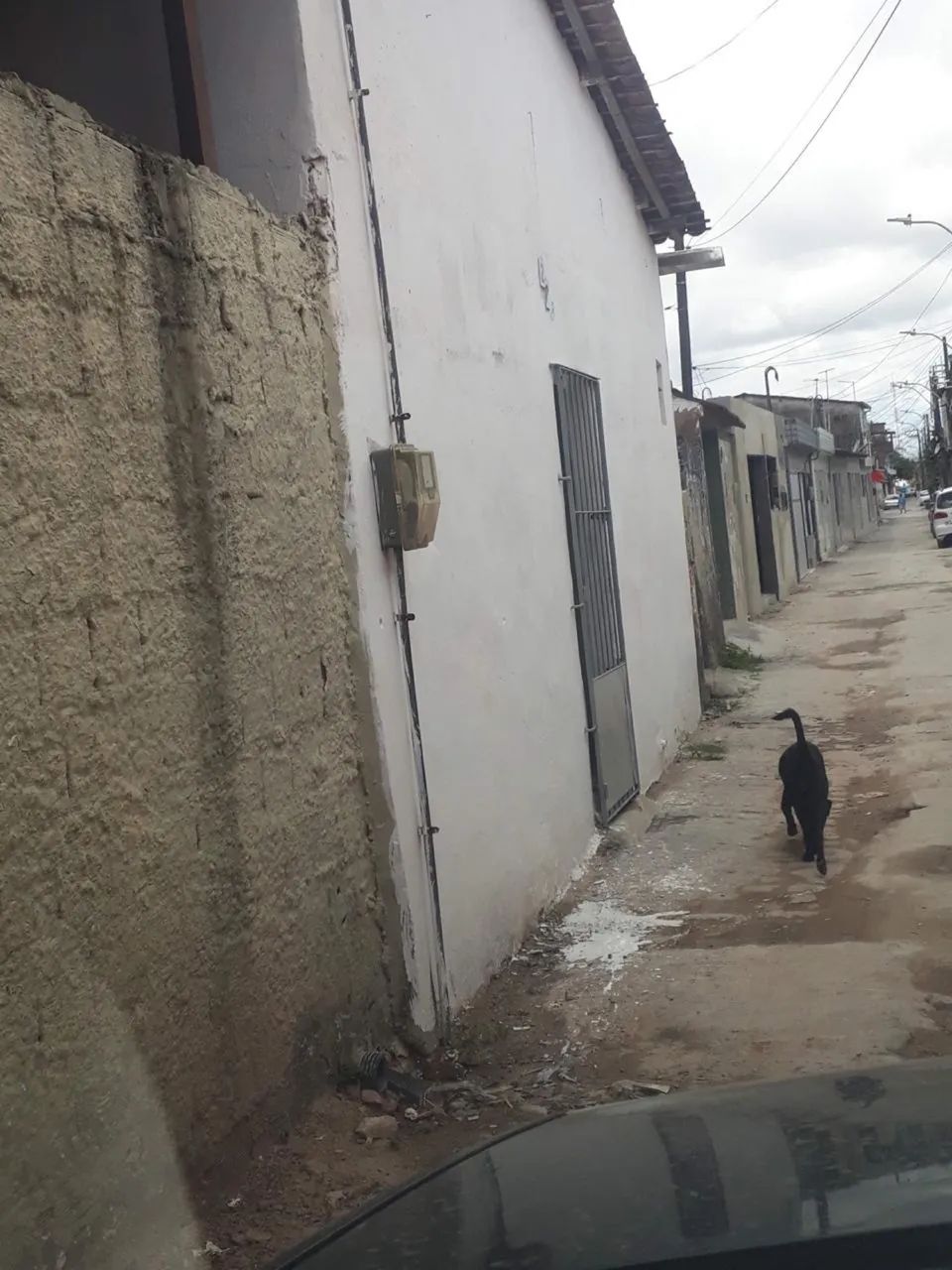 Casa na várzea 