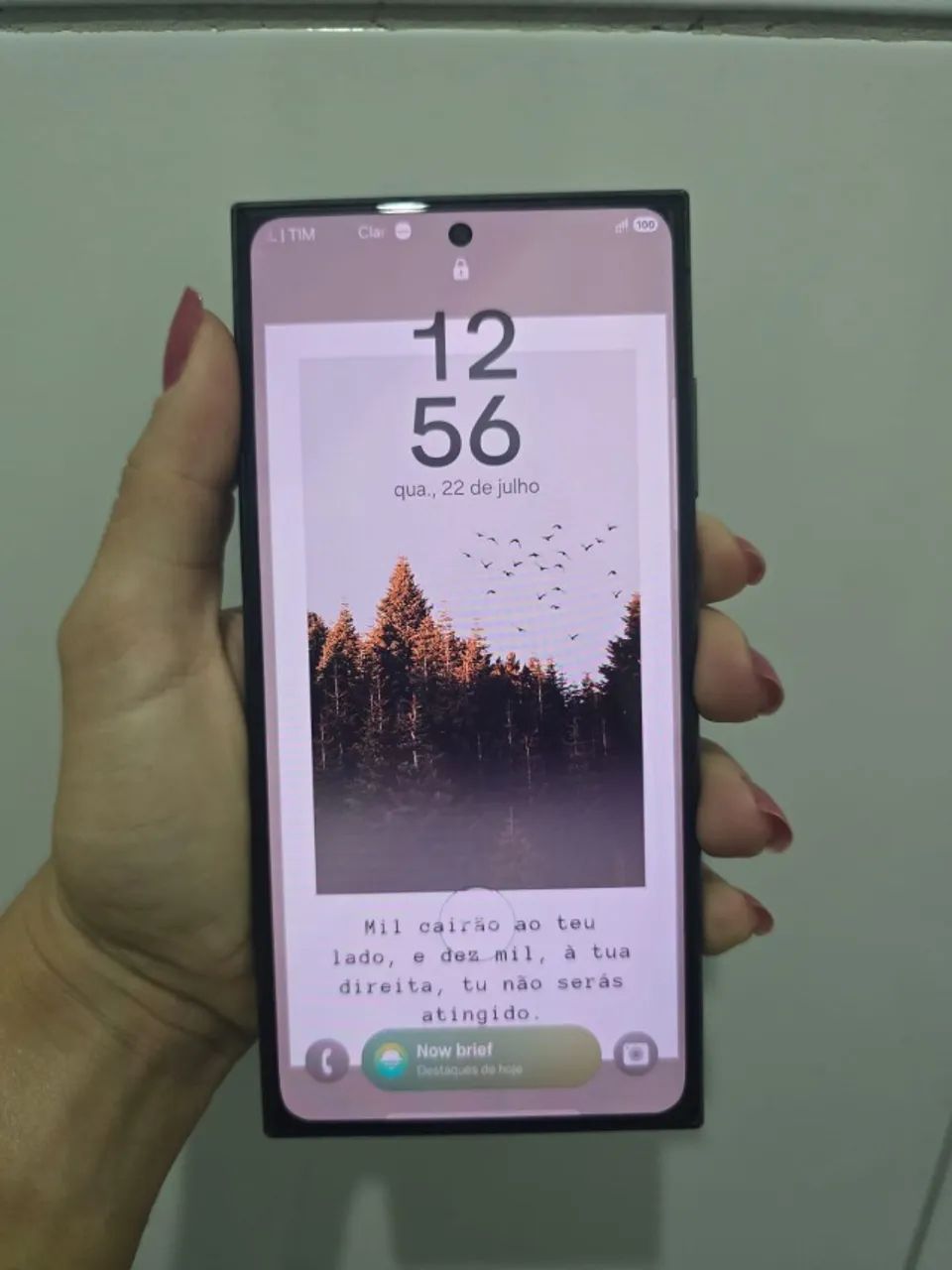 Celular