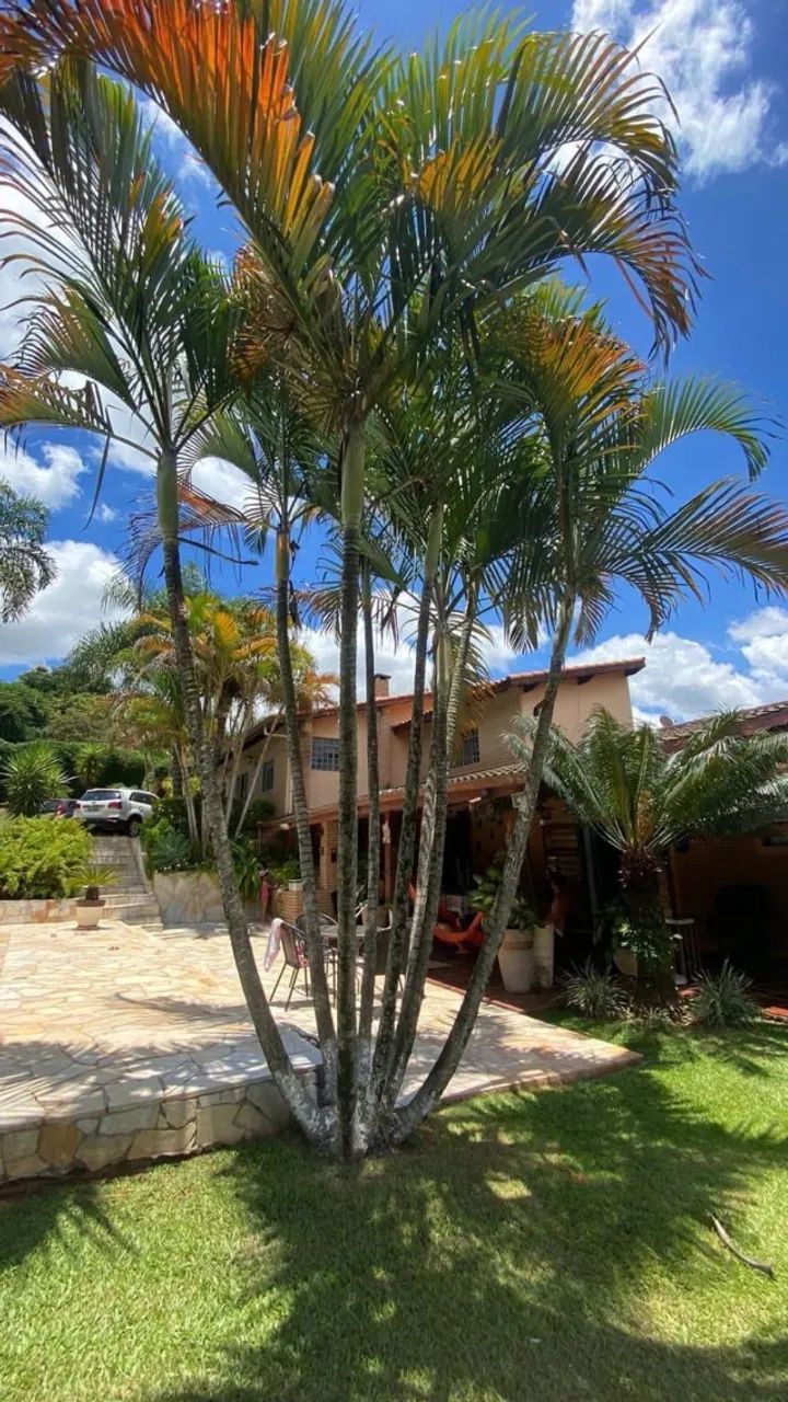 Chácara Recanto dos Machados - Foto 5
