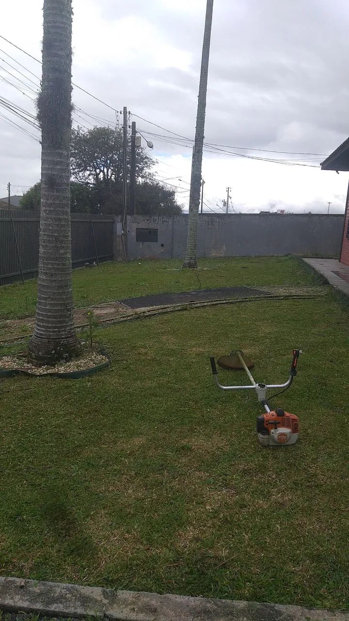 Grama , roçada, jardinagem  - Foto 2