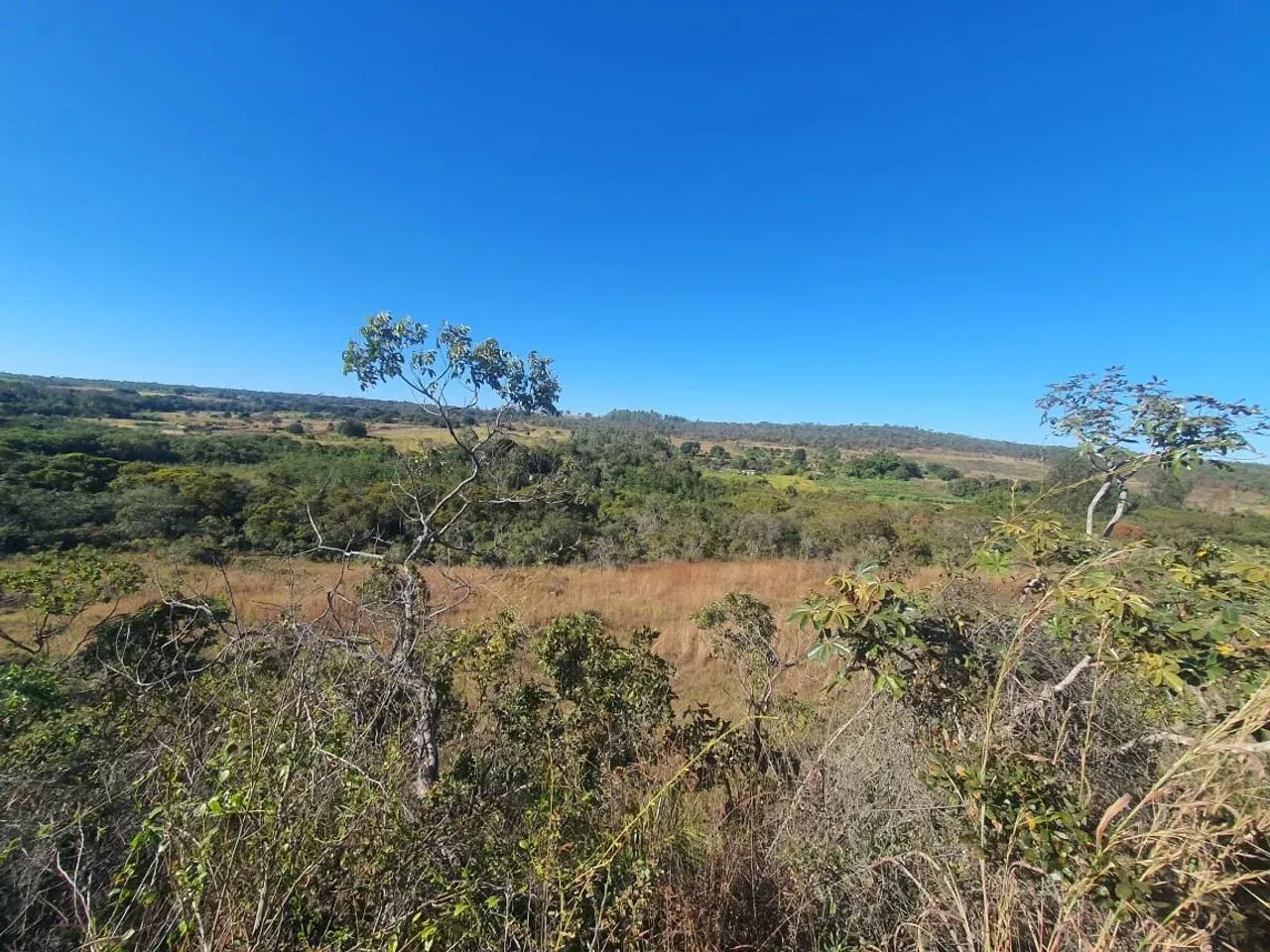 Vendo ótima chácara de 2 hectares em Planaltina DF - Foto 2