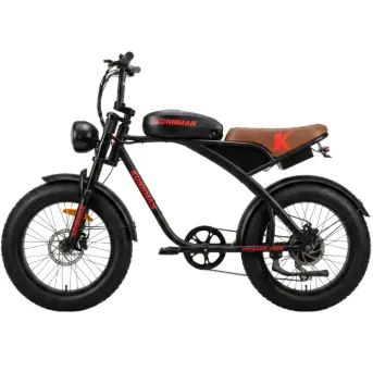 BICICLETA ELETRICA750W - Foto 2