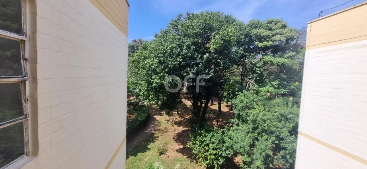 apartamento - Jardim do Vovô - Campinas - Foto 2