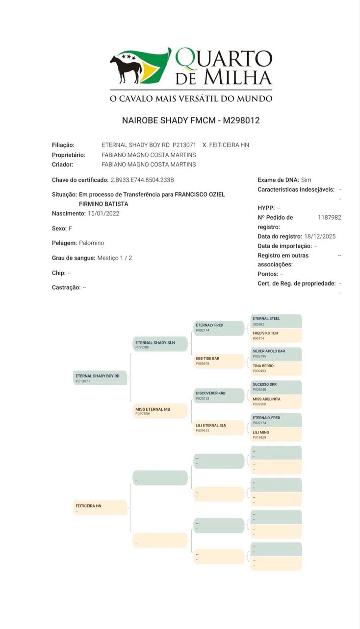 Égua Adaptável (Puxar/Esteirar) - Foto 6