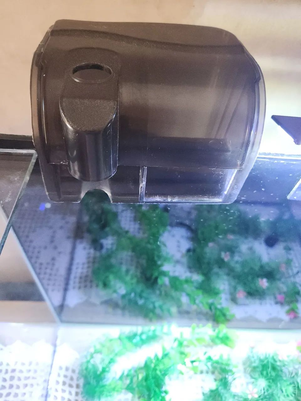 Aquário 60 Litros com Filtro, Luminária, Termostato, Decoração + 30 Produtos Diversos  - Foto 6