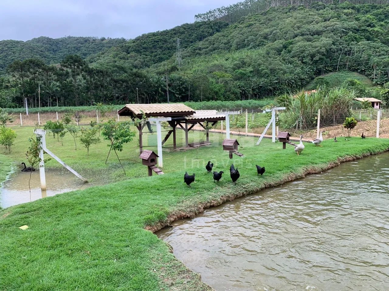 Sítio à venda em Major Gercino/SC - Foto 5