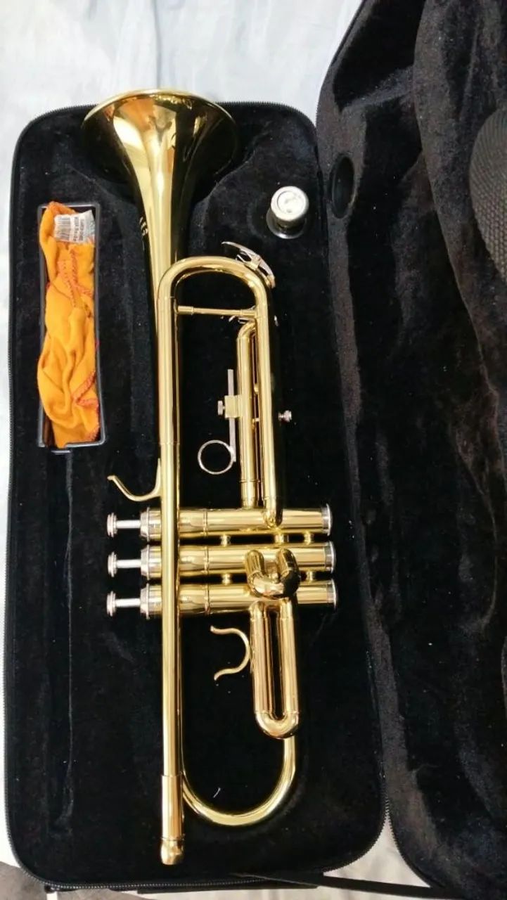 Instrumento musical  - Foto 3