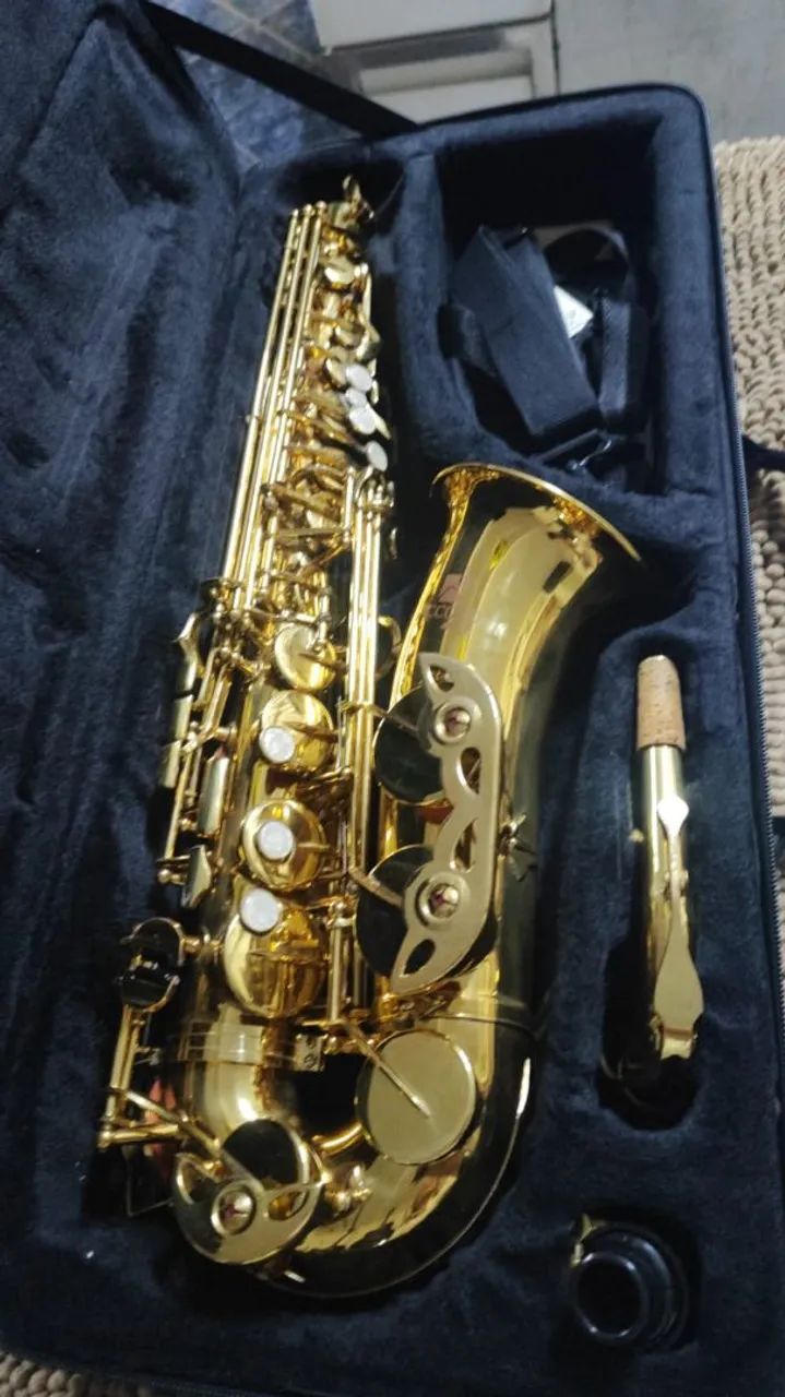 Sax Alto Arccord Deluxe - Foto 4