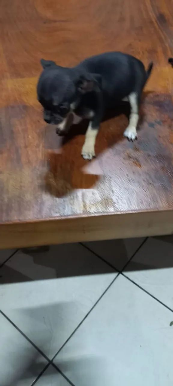 Vendo  - Foto 2