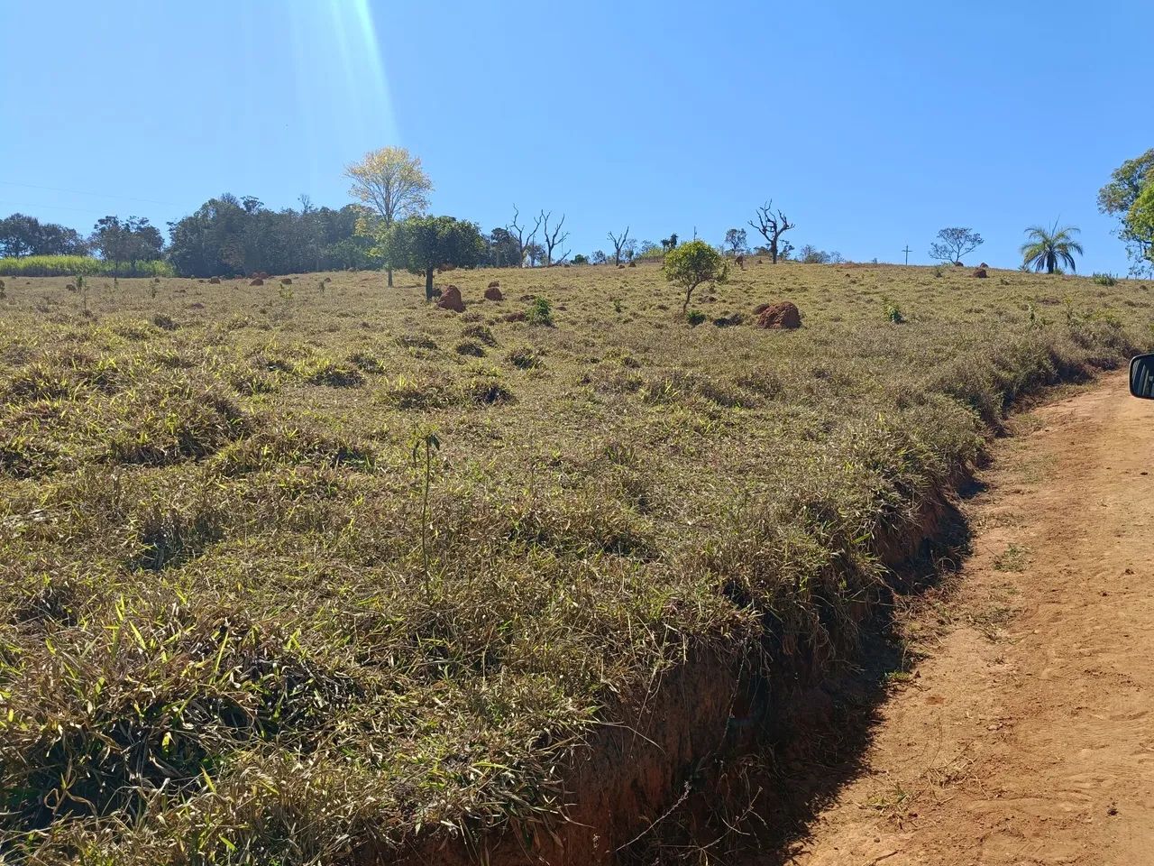 TERRENO 4,7 HC EM BONFIM  - Foto 3