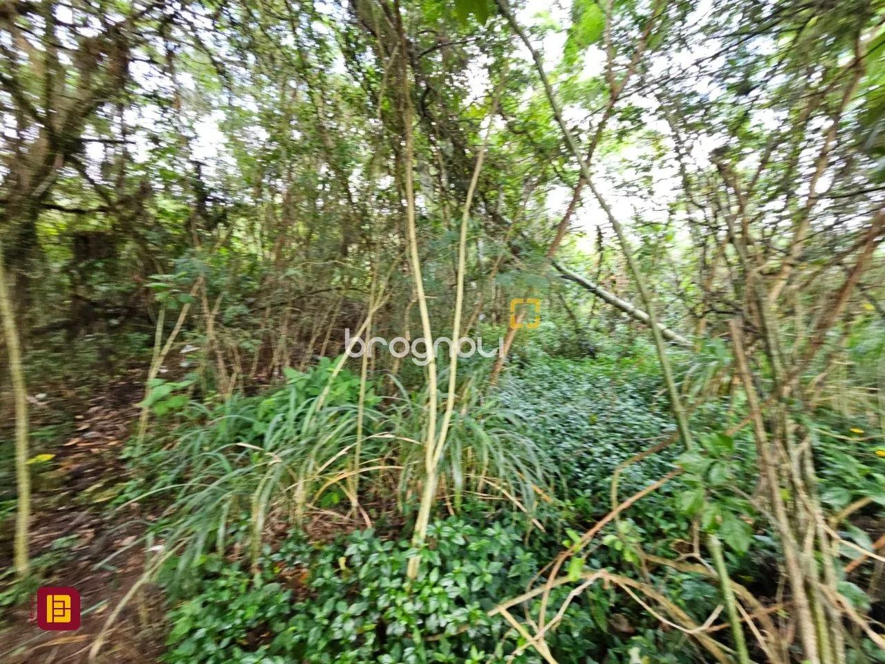 Terreno para venda no bairro Ratones, em Florianópolis - SC. - Foto 4
