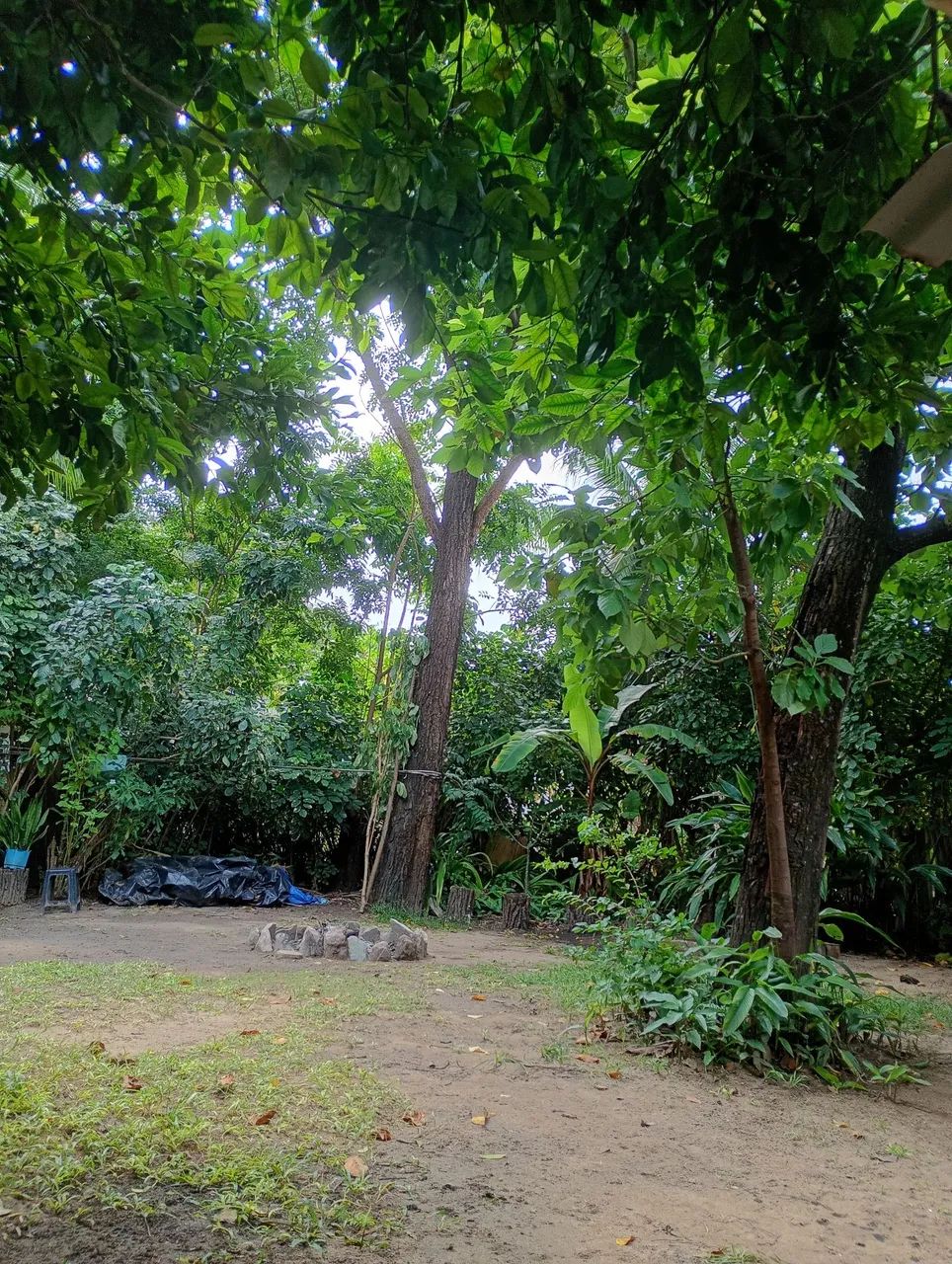Terreno em Olinda Rio doce  - Foto 2