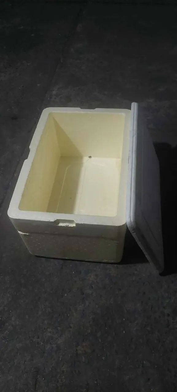 Caixa termica  - Foto 4